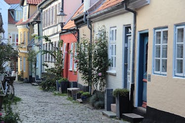 Excursão a pé guiada privada romântica em Aalborg
